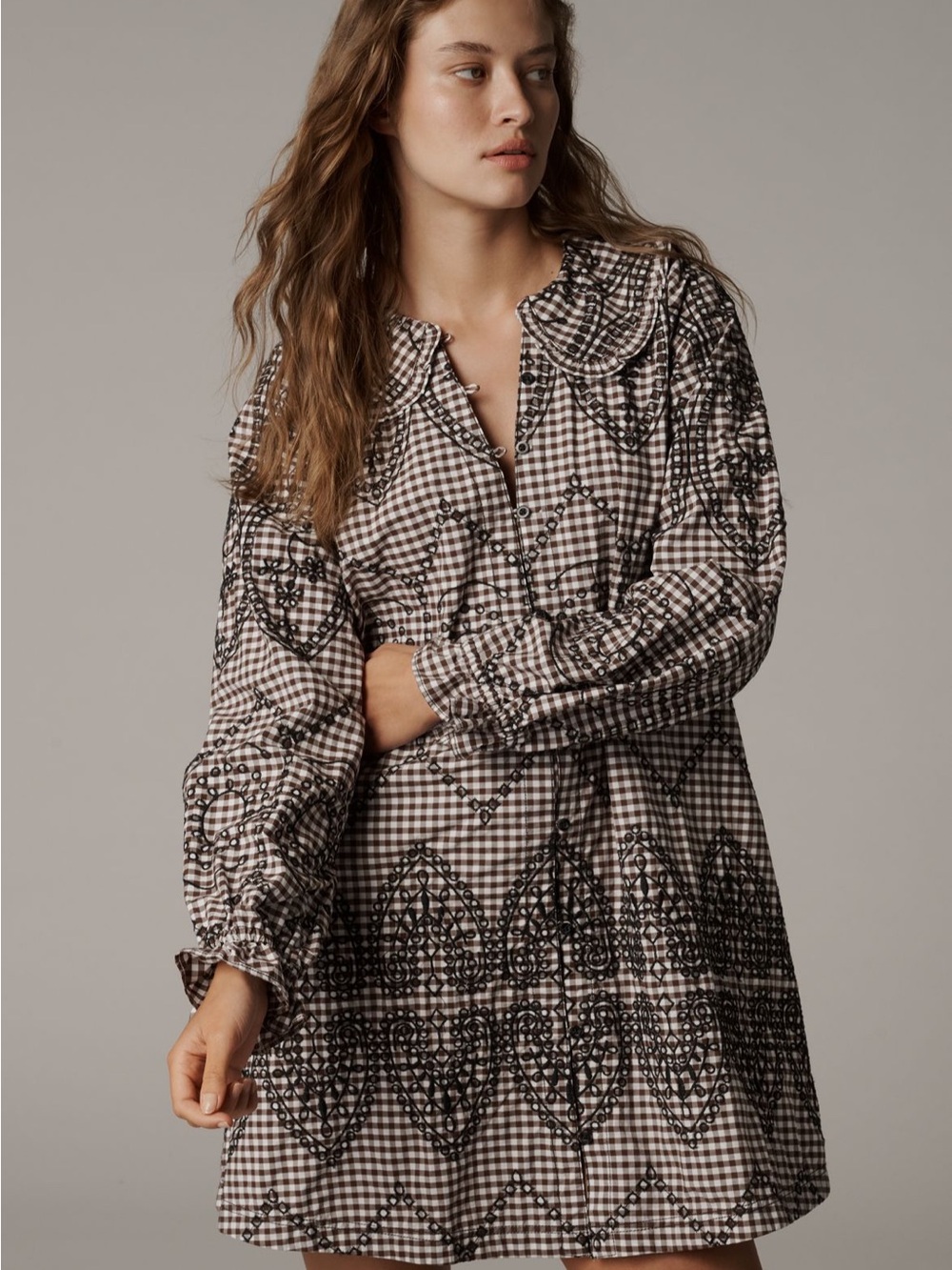 Pilcro Brown and White Gingham Embroidered Long-Sleeve Mini Dress